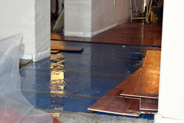 Professional Sewage Cleanup technician working in Island Park, NY